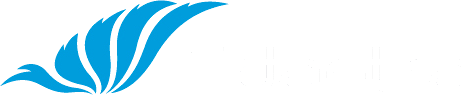 Fidastra