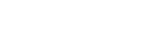 Vizibit